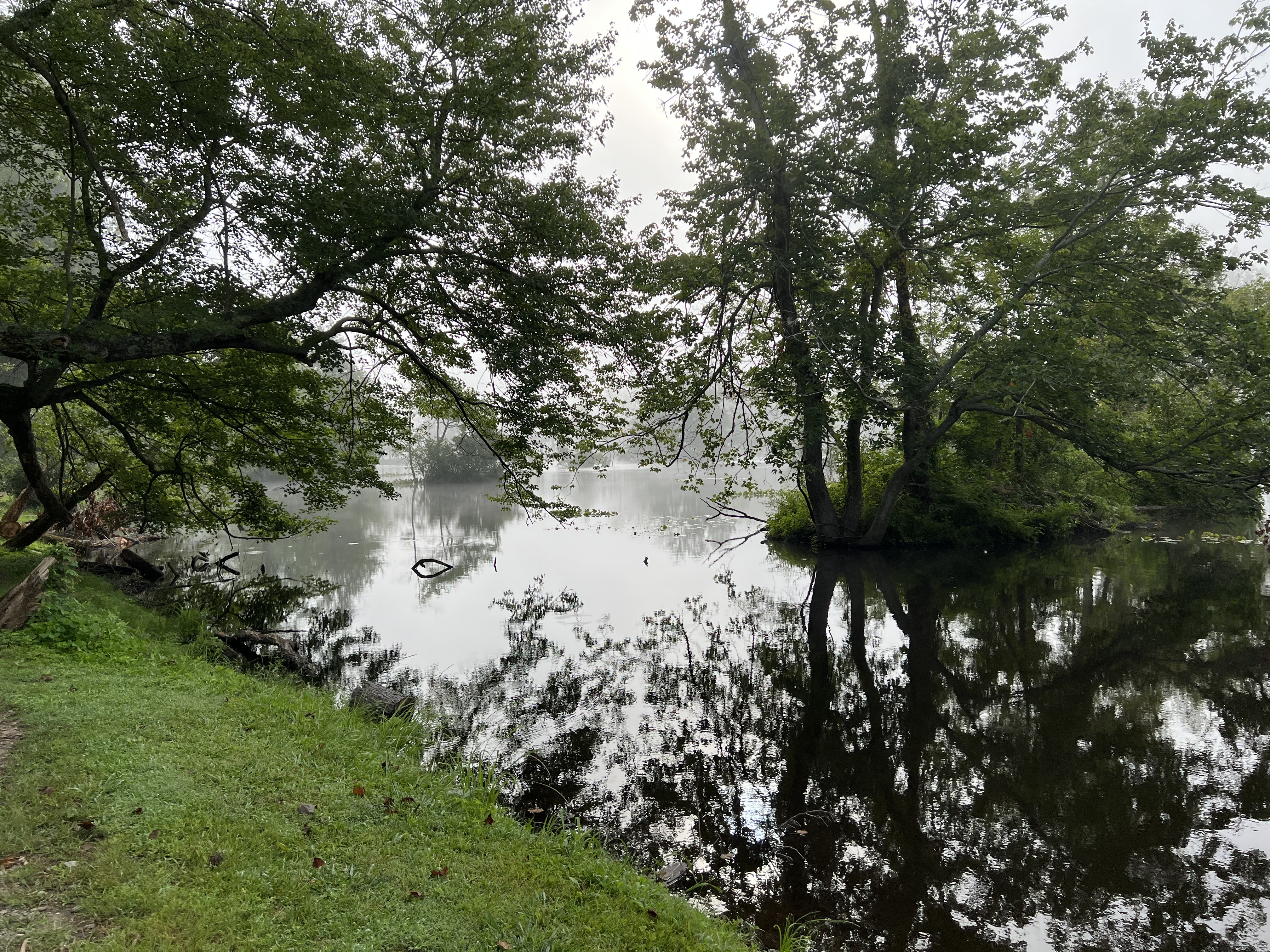 ./2023/11 - Asheville/IMG_9828.jpg